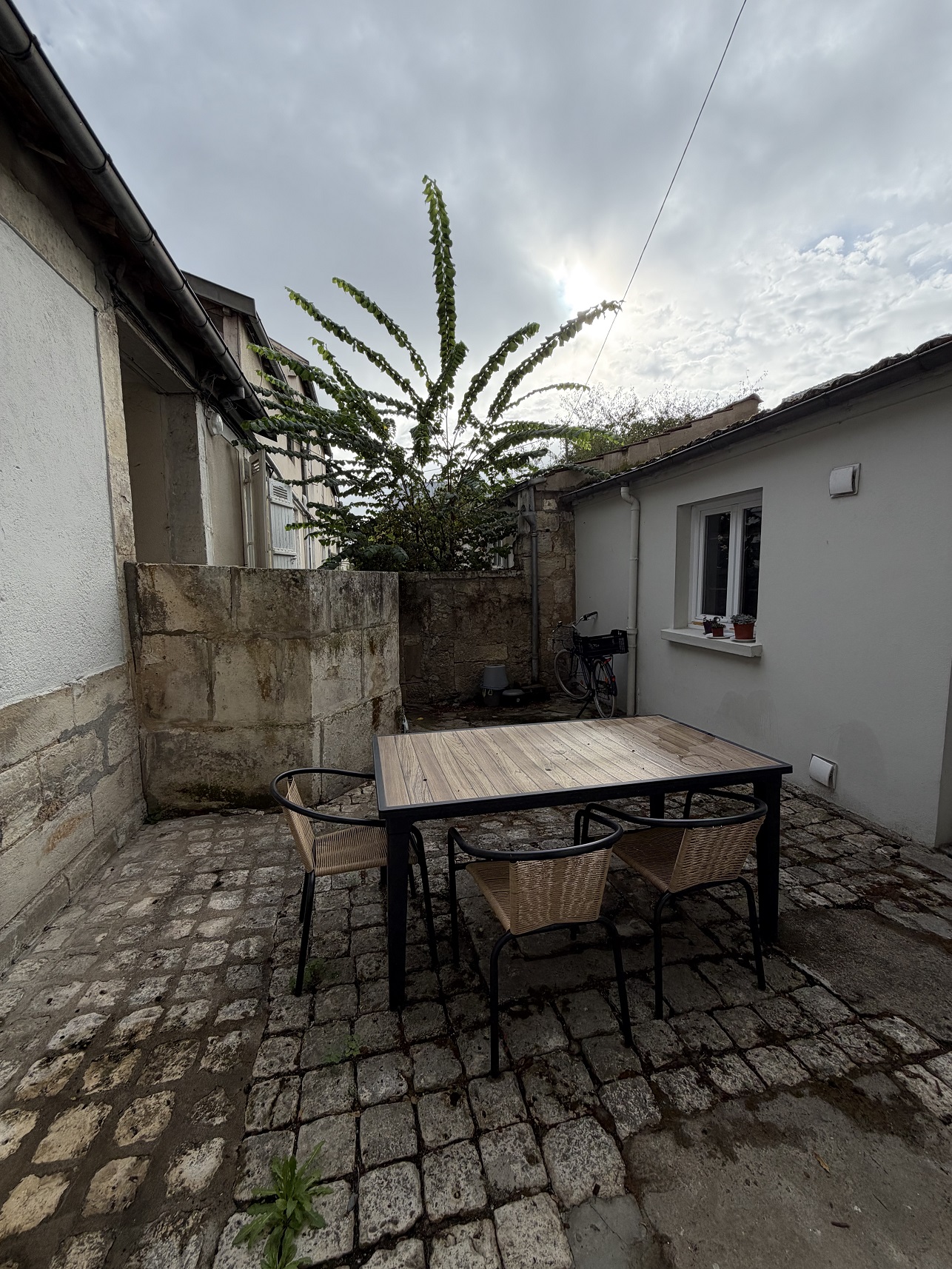 IMG_0539